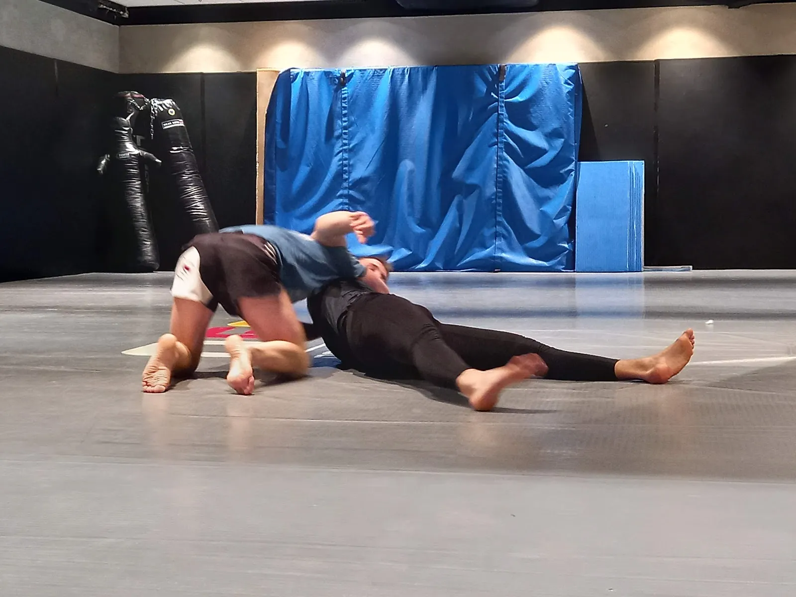 Wolf Gym — treningsstudio i Oslo — 3