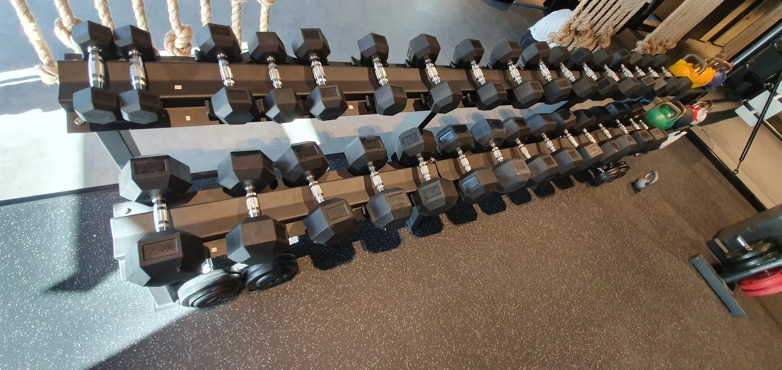 Wolf Gym — treningsstudio i Oslo — 5