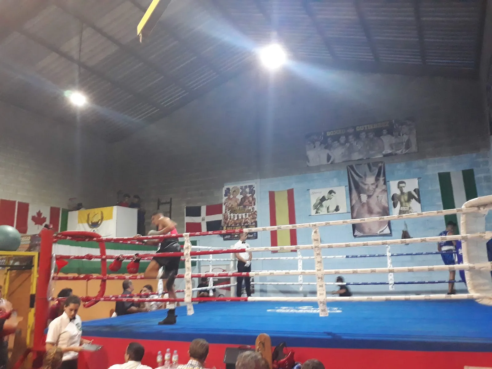 Boxeo Gutiérrez — artes marciales-studio en Coria del Río — 4