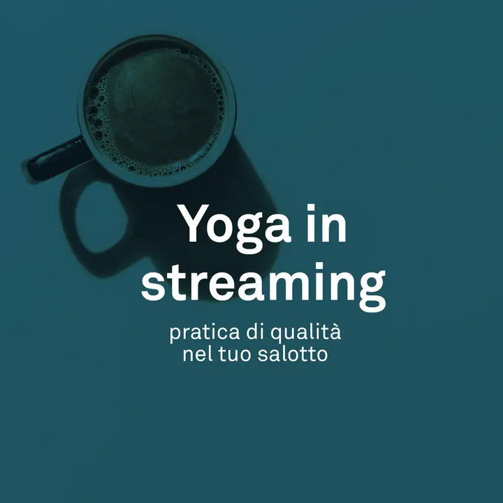 Istituto Iyengar Yoga di Milano — yoga-studio a Magenta - San Vittore, Milano — 2