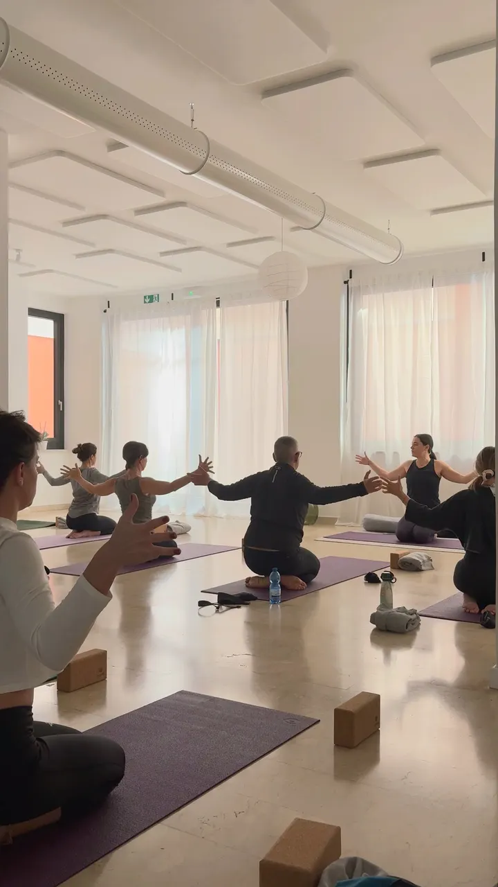 Terra Yoga Studio — yoga-studio a San Salvario, Torino — 3
