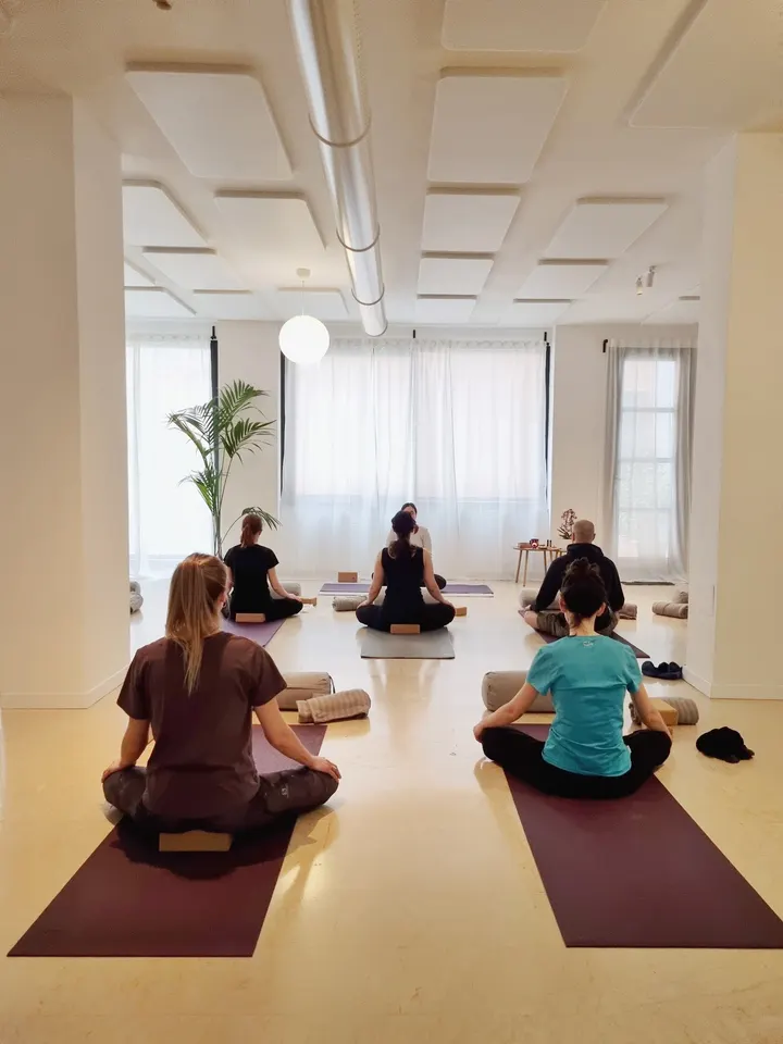 Terra Yoga Studio — Yoga a San Salvario, Torino