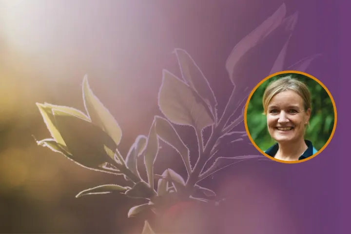 Centrum voor Mindful Leven — Meditatie in Heilig Landstichting