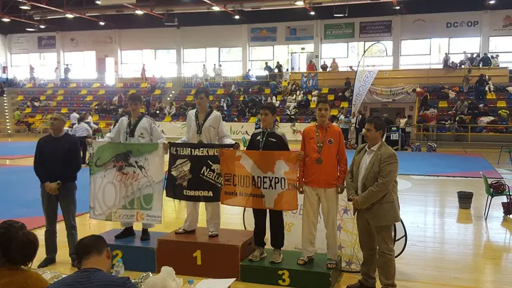 CLUB DE TAEKWONDO JEONSA JEREZ — artes marciales-studio en El Pelirón, Jerez de la Frontera — 2