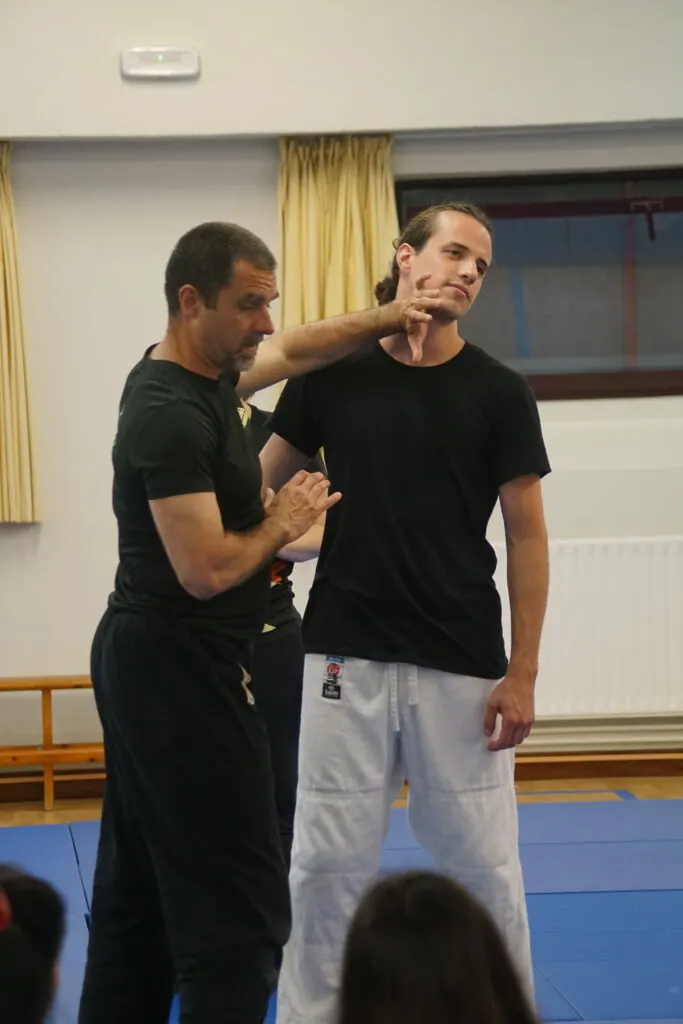 Defensa Personal Cantabria — Martial Arts en Urbanización Peña Verde, Santander