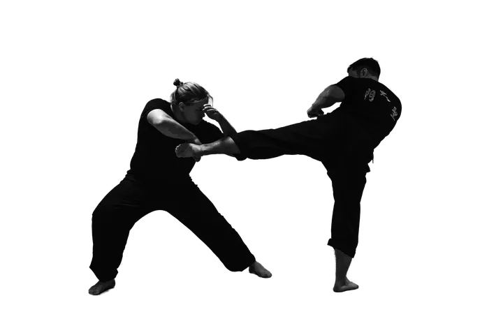 Tai Shin Mun Pirkanmaa — kamppailulajit-studio – Tulli, Tampere — 2