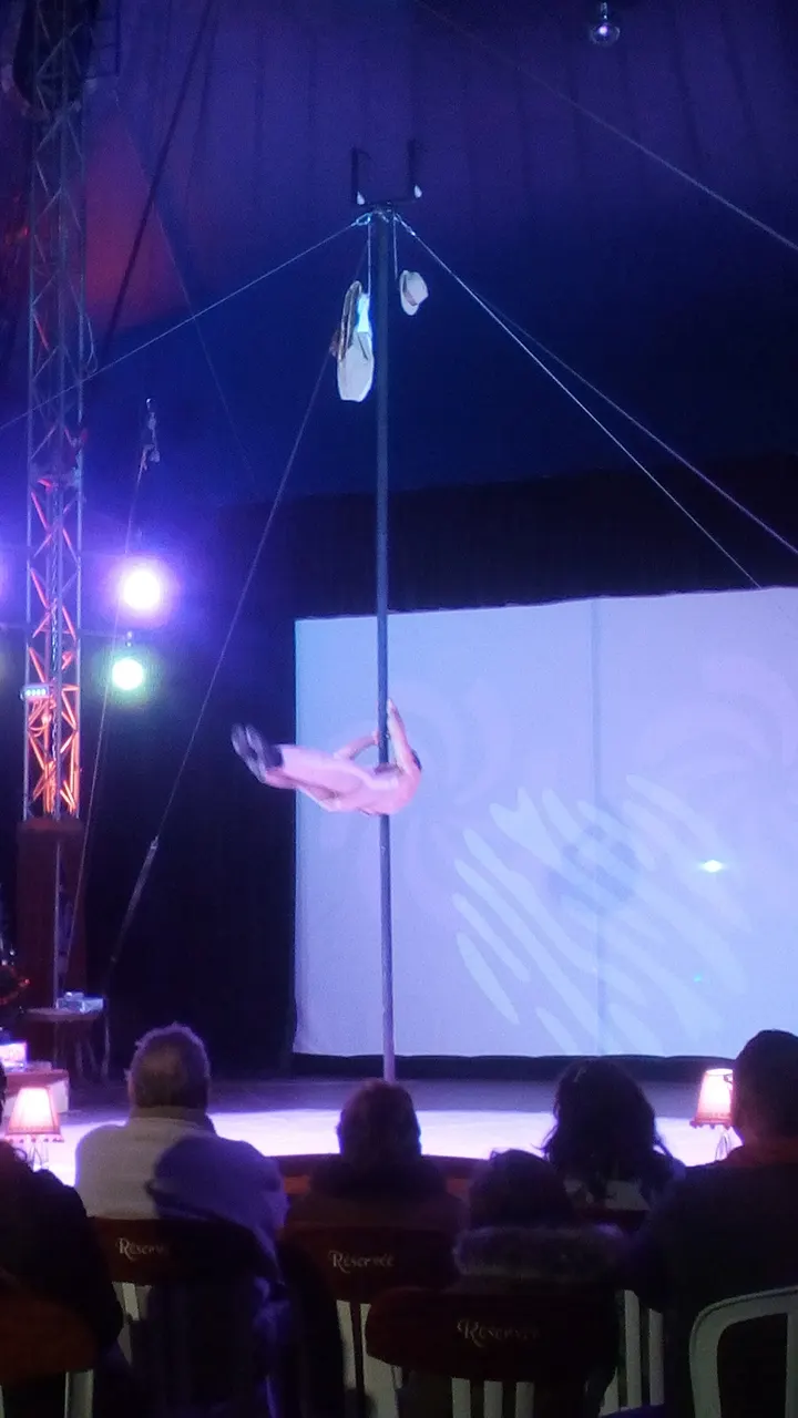 Ecole de Cirque Micheletty — arts aériens-studio à La Chaize-le-Vicomte — 3