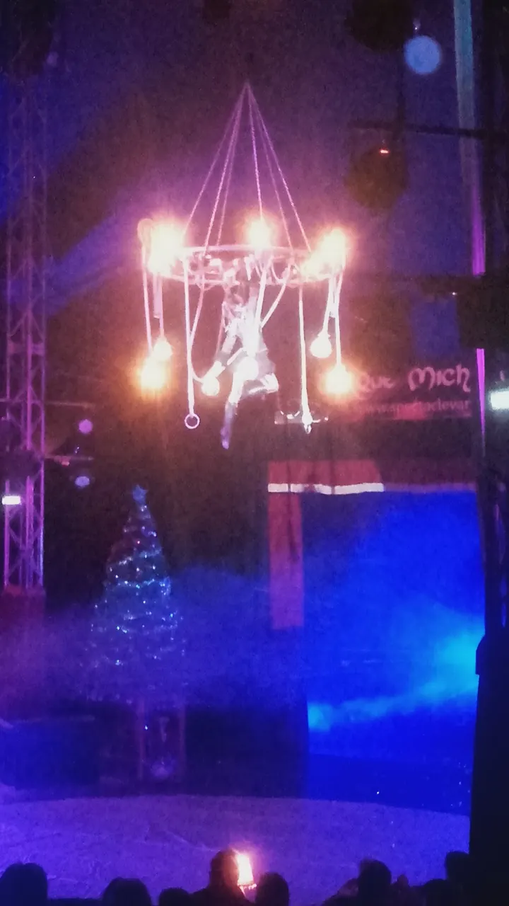 Ecole de Cirque Micheletty — arts aériens-studio à La Chaize-le-Vicomte — 5