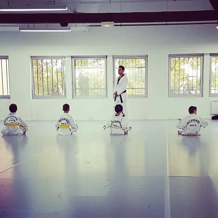TKDM - Taekwondo Martial club du Rhône — Arts martiaux à Lyon 8e Arrondissement, Lyon