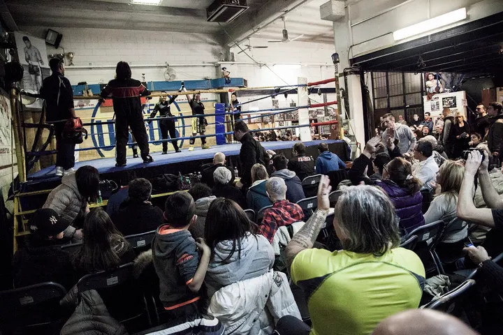 Boxe Ursus — Boxe a Umbria - Molise, Milano