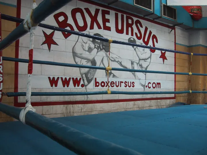 Boxe Ursus — boxe-studio a Umbria - Molise, Milano — 2