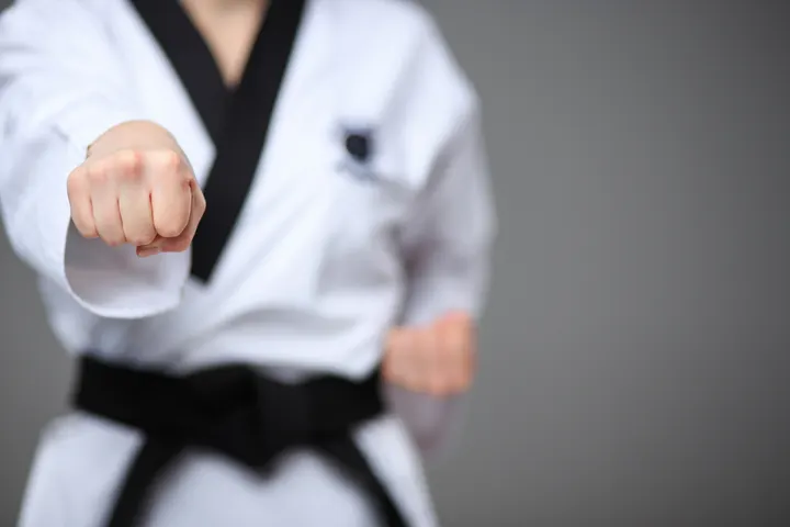 Dojo Atis Tirma - Artes Marciales — artes marciales-studio en La Laguna — 3