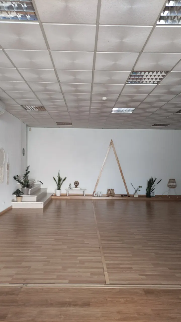 Raízes - Yoga e Artes de Bem Estar — yoga-studio em Setúbal — 3