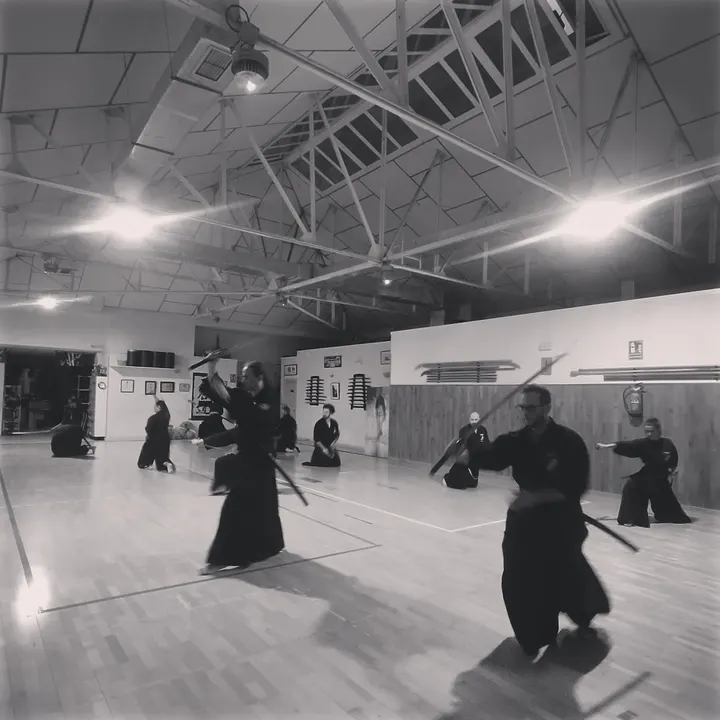 Zanshin Madrid — artes marciales-studio en Madrid — 5