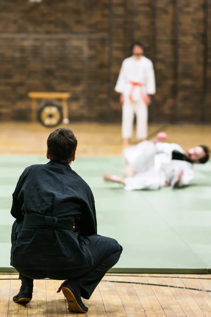 Yanagi Jutaijutsu Berlin e.V. — kampfsport-studio in Berlin — 3