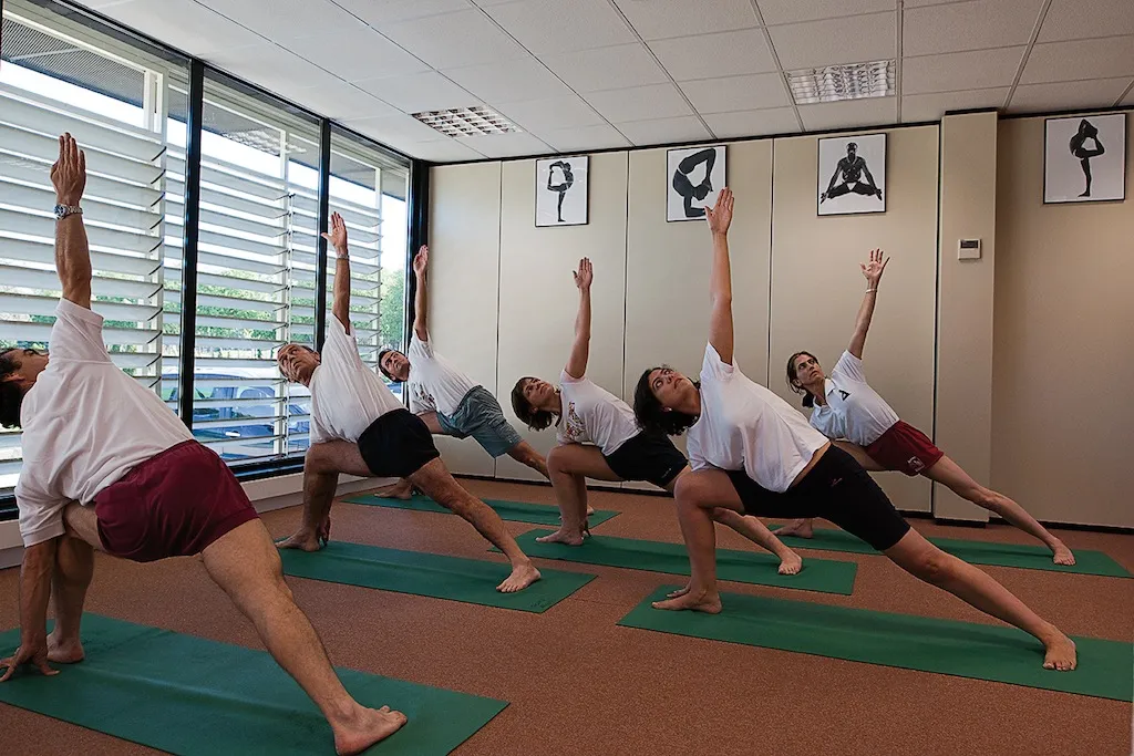 Escuela de yoga Luz Sobre el Yoga — yoga-studio en Madrid — 3