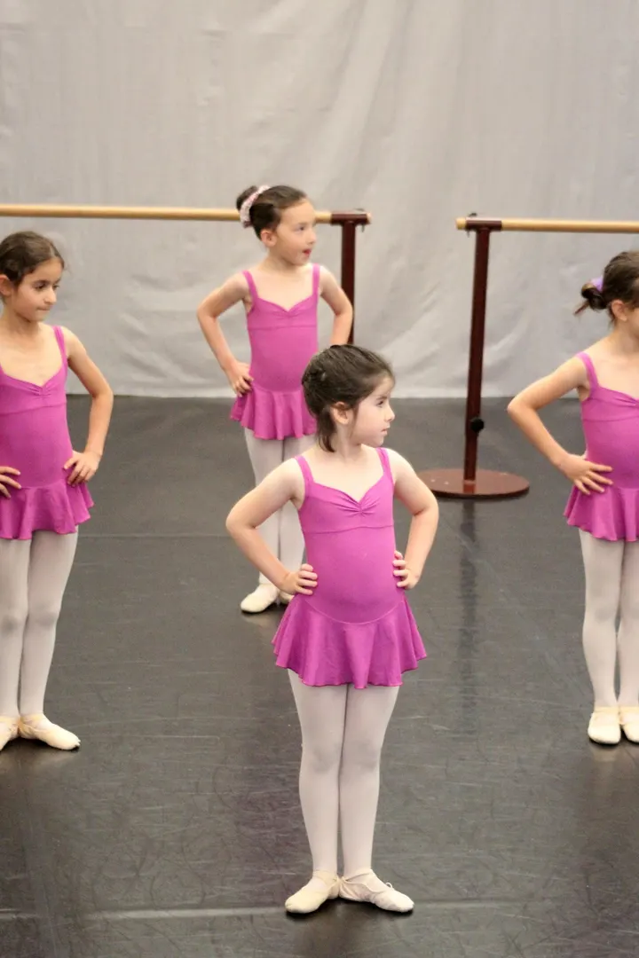 Studio de la Danse Montmorency — danse-studio aux Parcs de Montmorency, Montmorency — 2