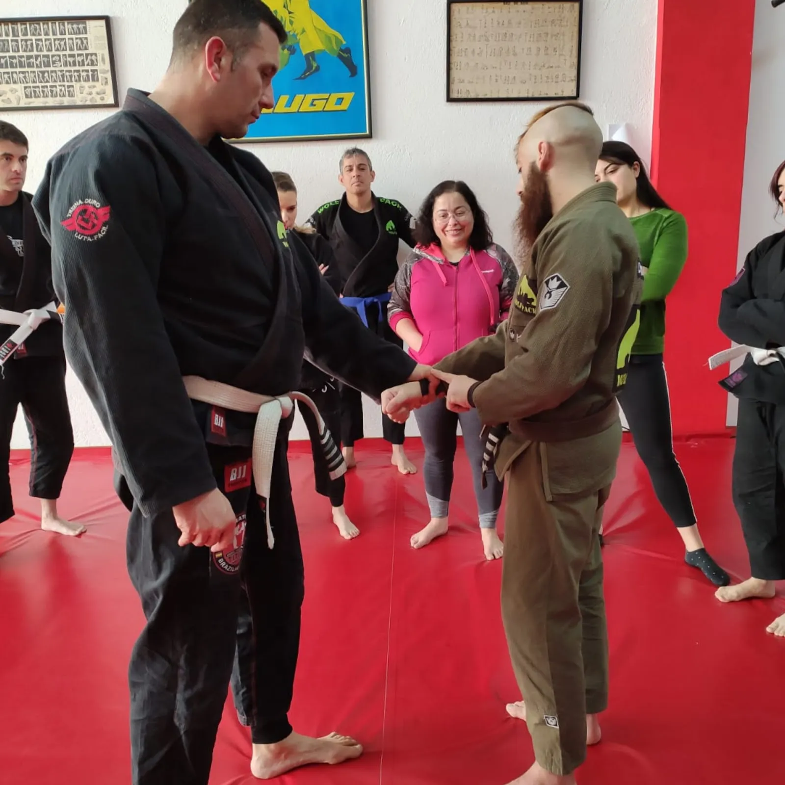 Alpha Wolf Pack - Jiu Jitsu y MMA Lugo — artes marciales-studio en Lugo — 3