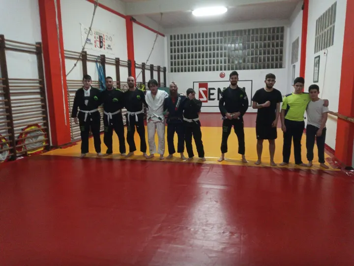 Alpha Wolf Pack - Jiu Jitsu y MMA Lugo — Artes marciales en Castelo de Abaixo, Lugo