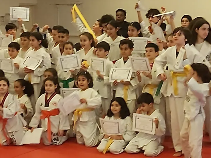 Association Taekwondo et Arts Coréens Lillois — arts martiaux-studio à Lille — 5