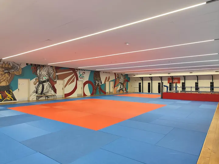 Association Taekwondo et Arts Coréens Lillois — Arts martiaux à Wazemmes, Lille