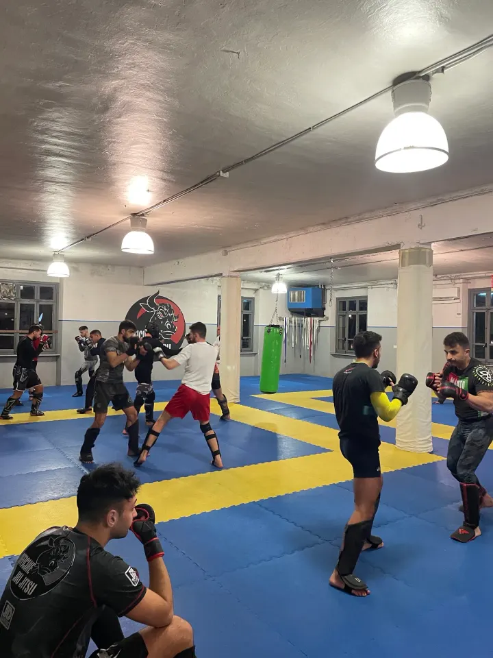 Officine Jiu Jitsu — bjj-studio a Borgo Vittoria, Torino — 3