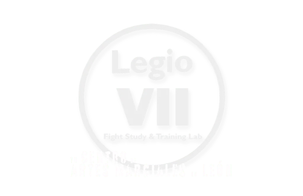 Gimnasio Academia Legio VII — estudio de fitness-studio en San Lorenzo - La Palomera - San Mamés, León — 2
