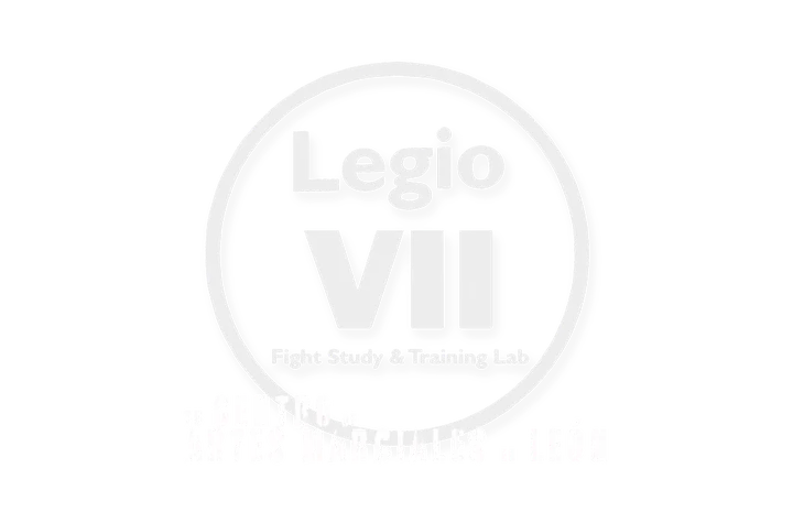 Gimnasio Academia Legio VII — estudio de fitness-studio en San Lorenzo - La Palomera - San Mamés, León — 2