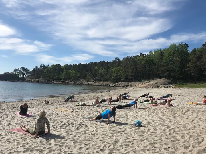 Vesøen Yoga - Med Heidi H. Stiansen — yoga-studio i Fevik — 3