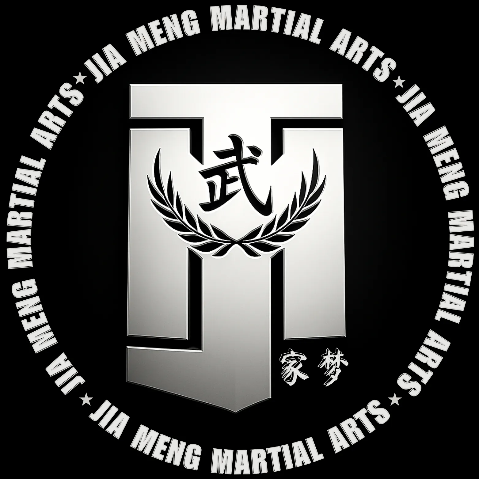 Jia Meng Martial Arts — artes marciales-studio en Salburua, Vitoria-Gasteiz — 2