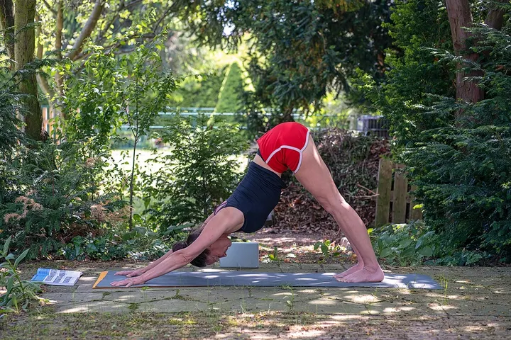 Shanta-Yoga Leipzig — yoga-studio in Zentrum-West, Leipzig — 3