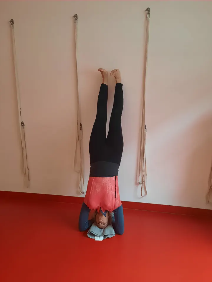 Centre Indo Lillois de Yoga — yoga-studio à Lille-Centre, Lille — 2