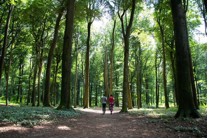 Robbin Vis Personal Training Ede — personal training-studio in Ede-Zuid, Ede — 3