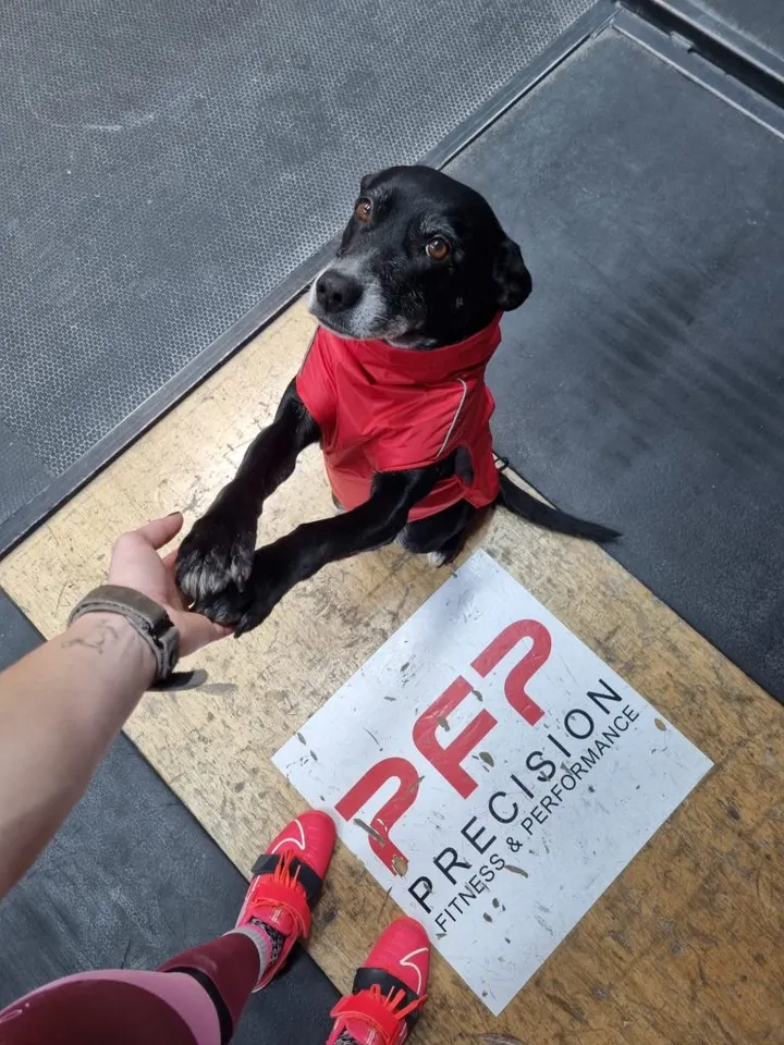 PFP — fitness studio in Alphington, Exeter — 2