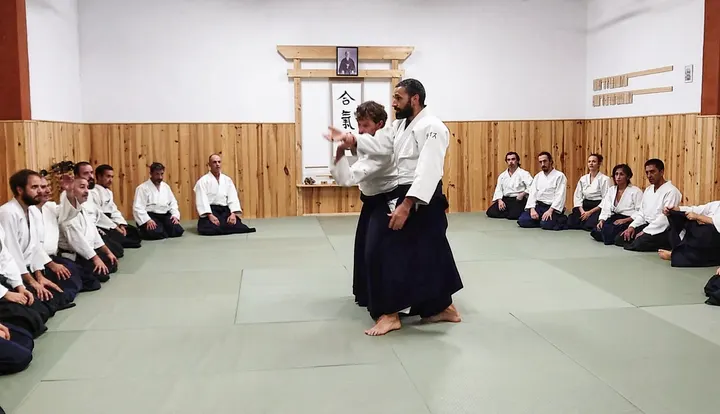 Seishin Aikido Dojo Palma — artes marciales-studio en Palma — 6
