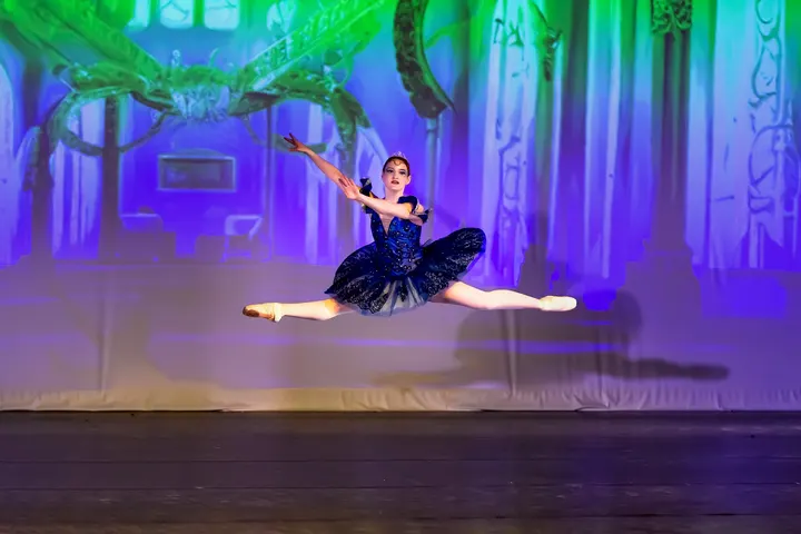 Academie de Danse - Tanzschule & Ballettschule Braunschweig — Tanz in Mitte, Braunschweig