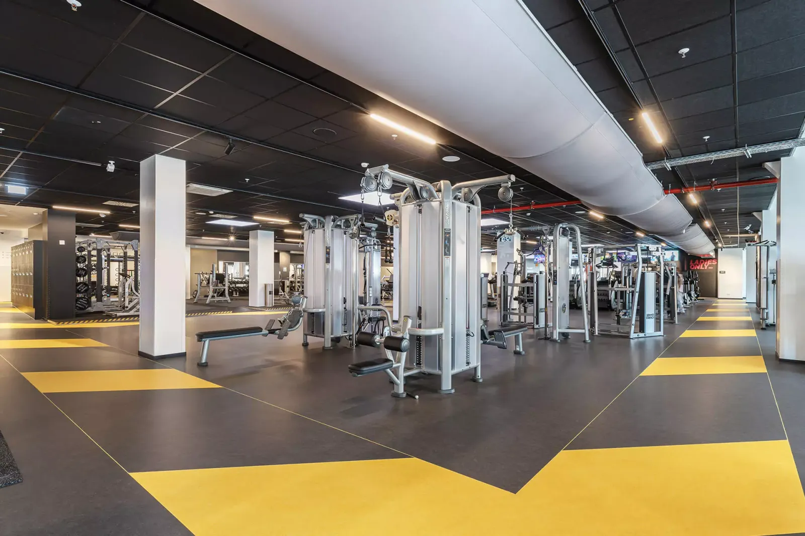 Fit Star — pt-studio in Nürnberg — 4