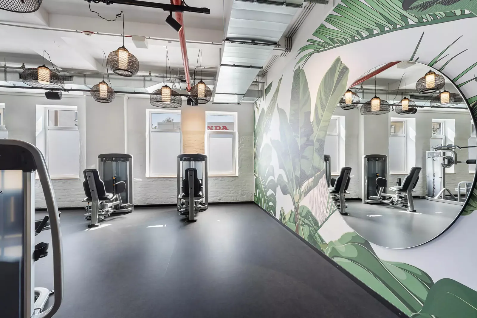 Fit Star — pt-studio in Nürnberg — 5