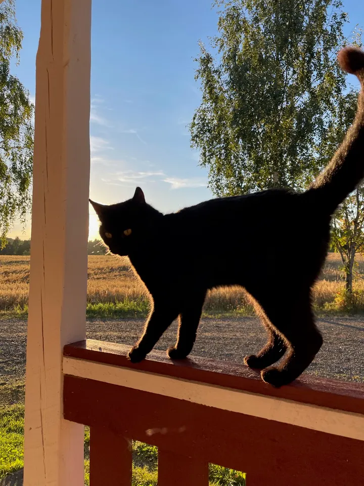 Pilates ja polku Pia Rauhalahti — pilates-studio – Kuhmalahti — 2