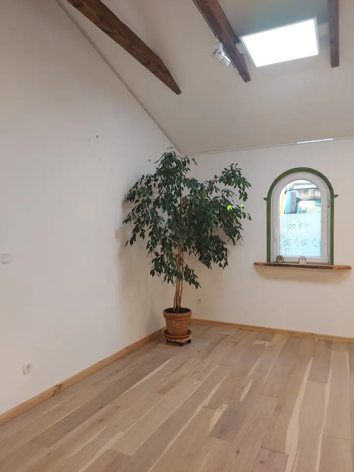 Sonnengrüße- Yoga und Ayurveda — yoga-studio in Bottrop — 3