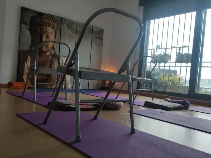 Raja Yoga Madrid — yoga-studio i Torrelodones — bild 3