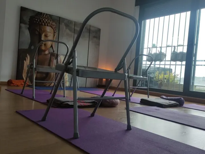 Raja Yoga Madrid — yoga-studio en Torrelodones — 5