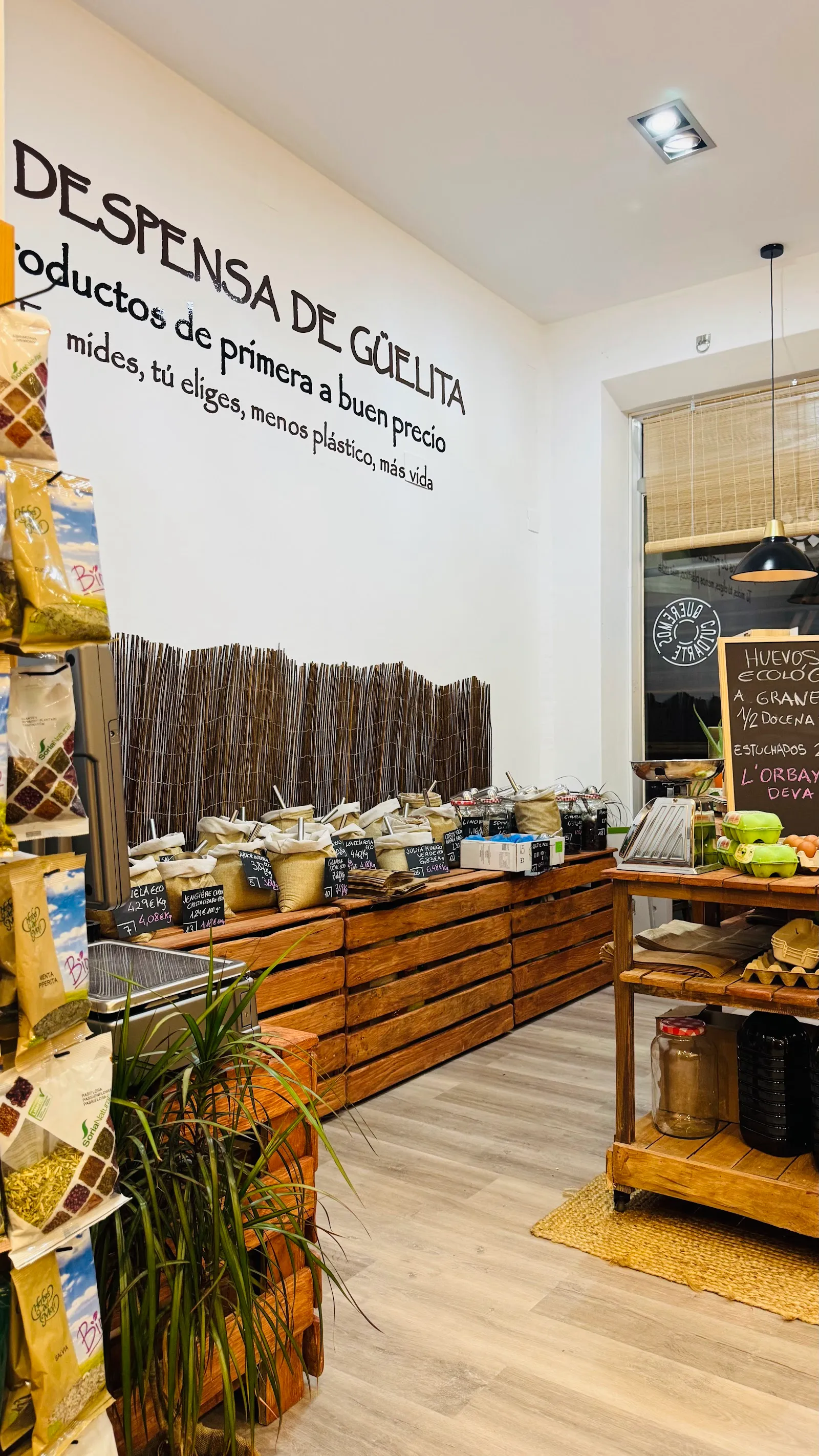 Alimentación Eco, Herbolario, Yoga y Pilates — yoga-studio en El Centro, Gijón — 2
