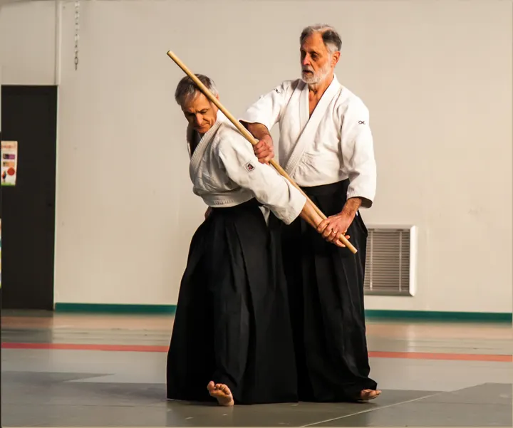 Aikido - Milhaud — arts martiaux-studio à Milhaud — 3