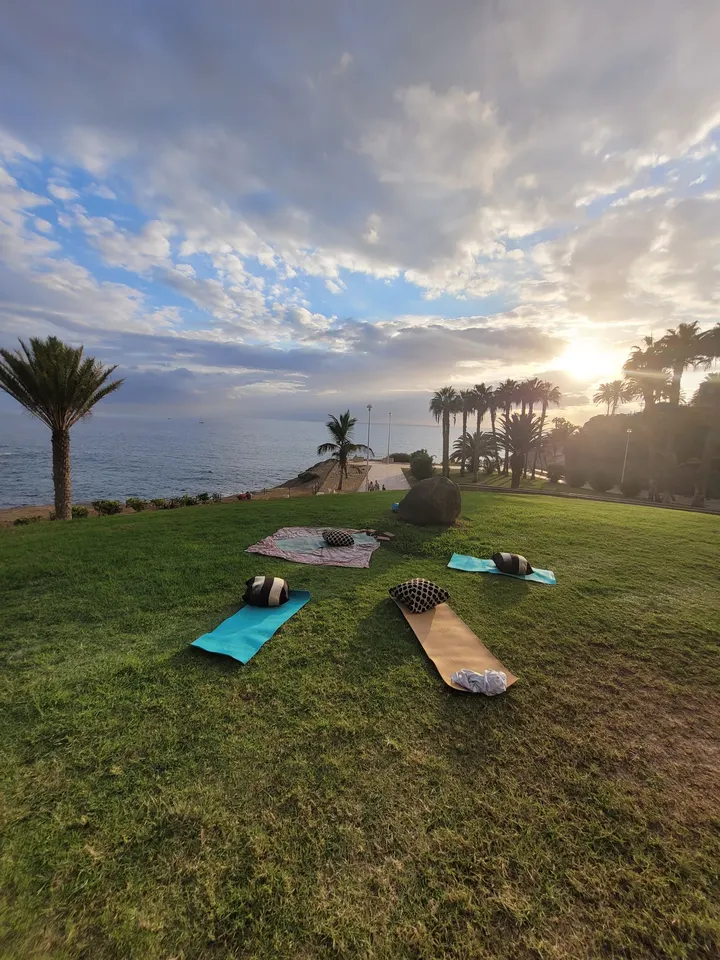 Tenerife South Yoga & Wellness — yoga-studio en Costa Adeje — 4