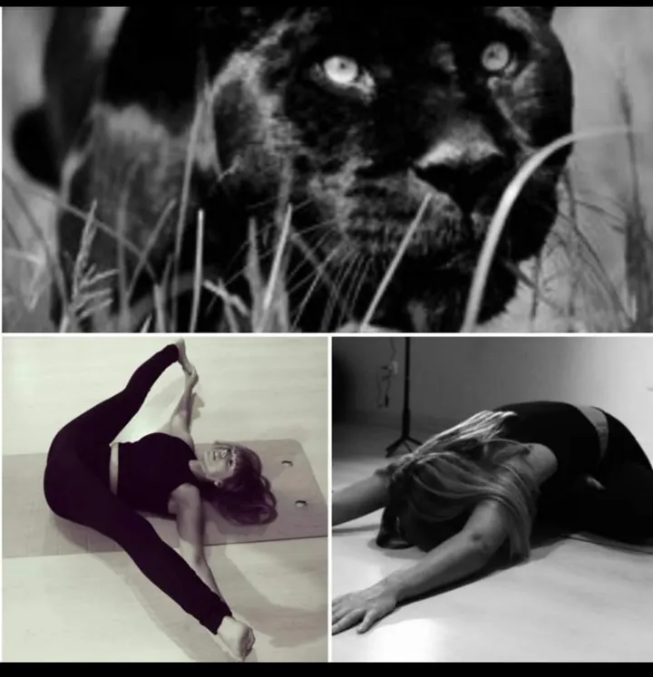 Centro de Masajes/Pilates/Mindfulness FuenteSamir — pilates-studio en Móstoles — 4