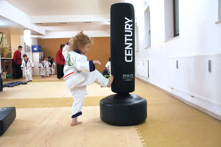 TOWASAN Karate Schulen — Kampfsport in Berg am Laim, München