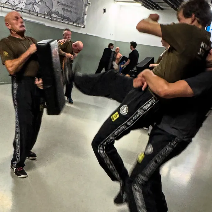 Self Defense Academy — vechtsport-studio in Emmen — 5