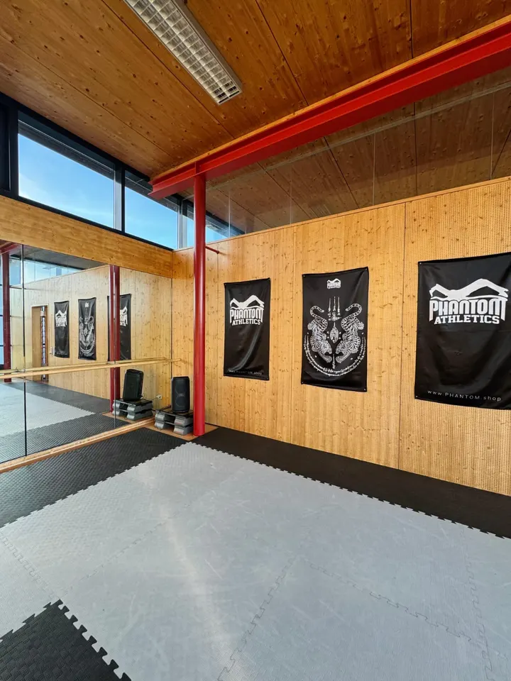 Fight Evolution Heidelberg — kampfsport-studio in Wieblingen, Heidelberg — 2