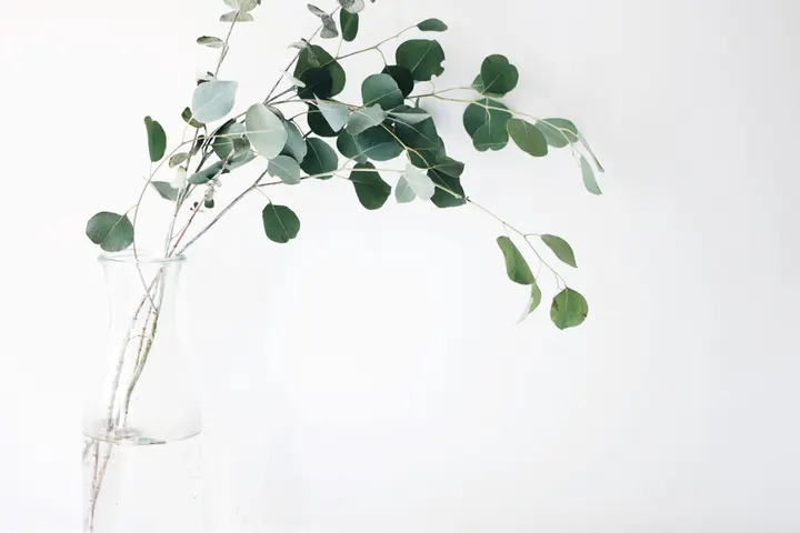 KENSHO - Psicología, yoga y meditación — yoga-studio i Neguri, Areeta / Las Arenas